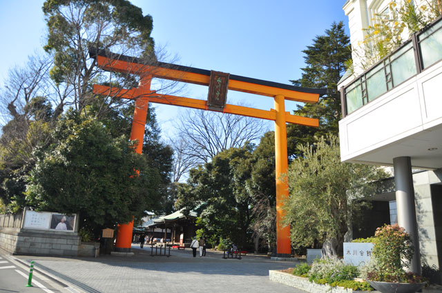 川越氷川神社 鳥居の写真